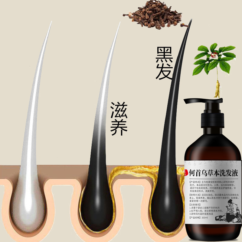 Shampoo multiflorum Polygonum  - Hair Care Herbal recensione e prezzo