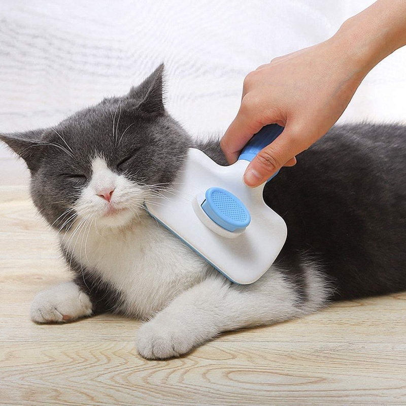 Spazzola Autopulente per la Ri - Hair Care Is Self Care recensione e prezzo
